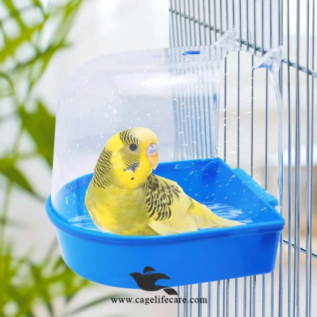 Bird Bath Tub Side View