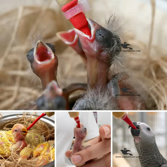 Soft Feeding Tube for Bird Chicks – Hand Feeding Tool