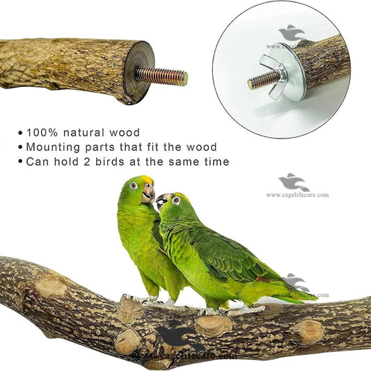 Wing Nut Perch – Natural Tree Branches Sticks for Birds Details with amazon parrot