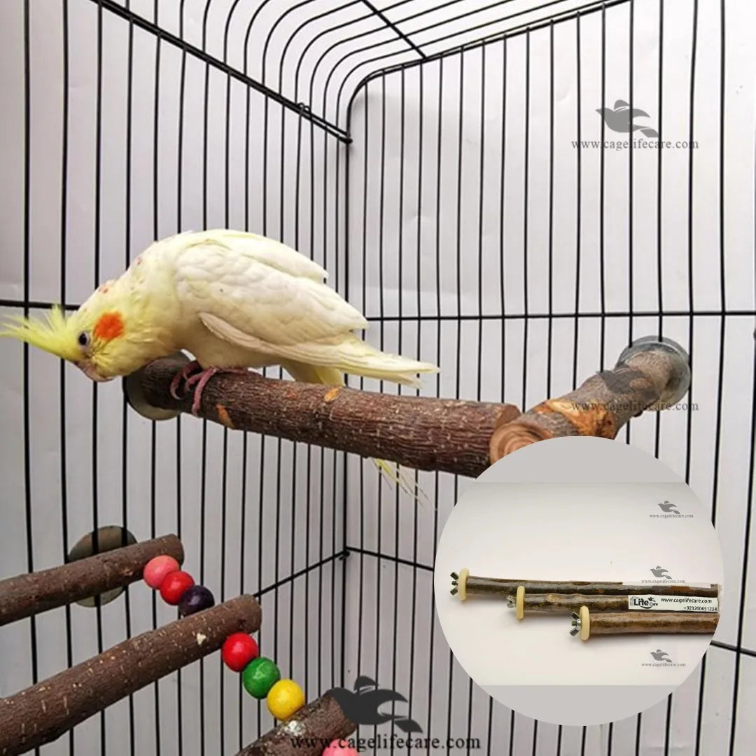 Wing Nut Perch – Natural Tree Branches Sticks for Birds Best Perches