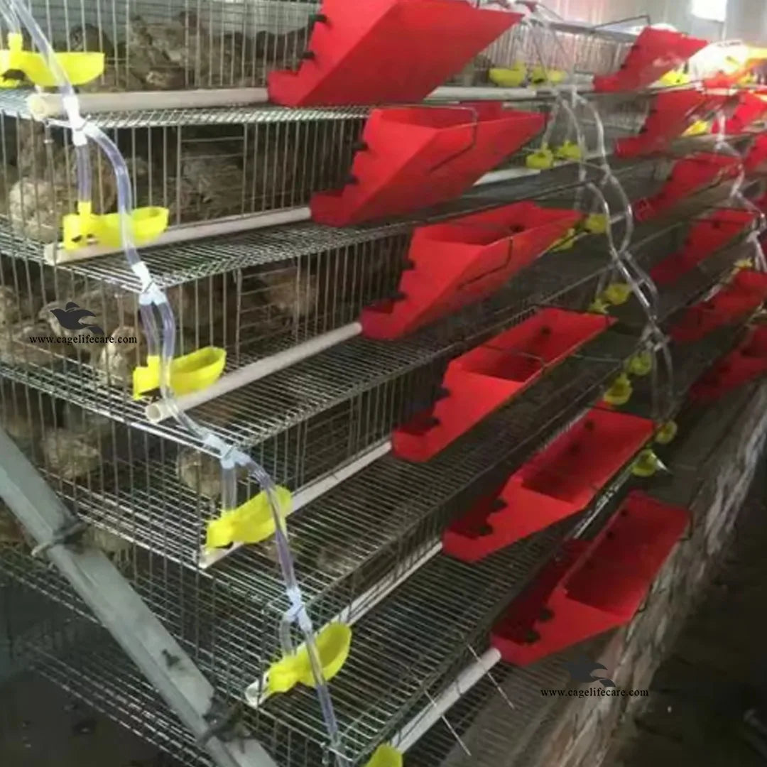 External Automatic Water Cup for Quail and Small Ground Birds