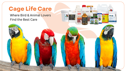 Cage Life Care: Where Bird & Animal Lovers Find the Best Care - Cage Life Care
