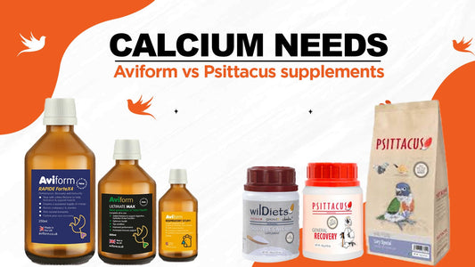 Calcium Needs in Birds: Comparing Aviform vs Psittacus Supplements