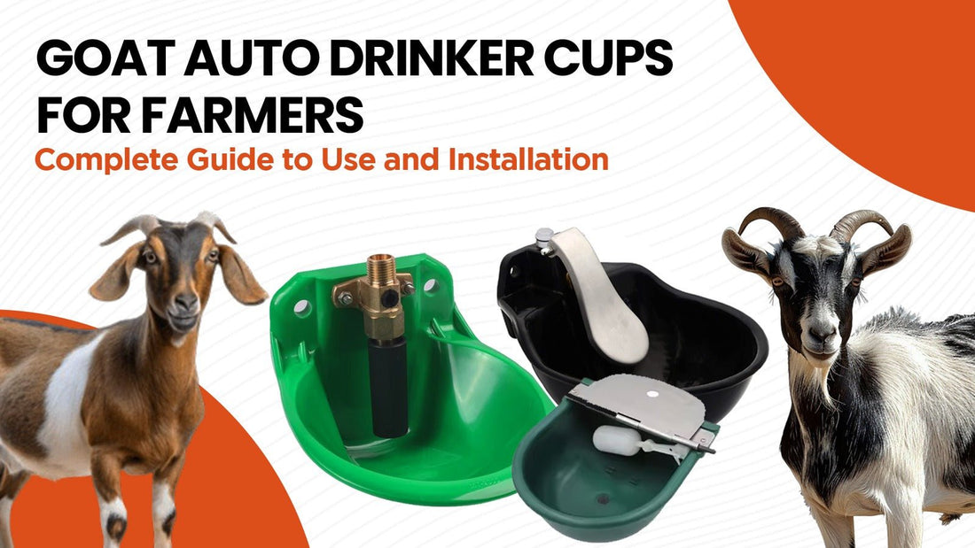 Goat Auto-Drinker Cups for Farmers: Complete Guide to Use & Installation - Cage Life Care