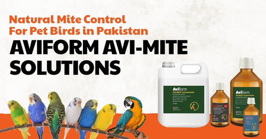 Natural Mite Control for Pet Birds in Pakistan: Aviform Avi-Mite Solutions - Cage Life Care