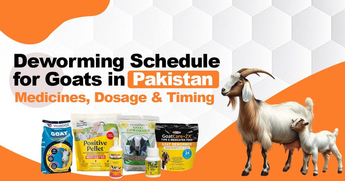 Deworming Schedule for Goats in Pakistan – Medicines, Dosage & Timing - Cage Life Care
