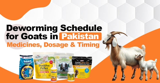 Deworming Schedule for Goats in Pakistan – Medicines, Dosage & Timing