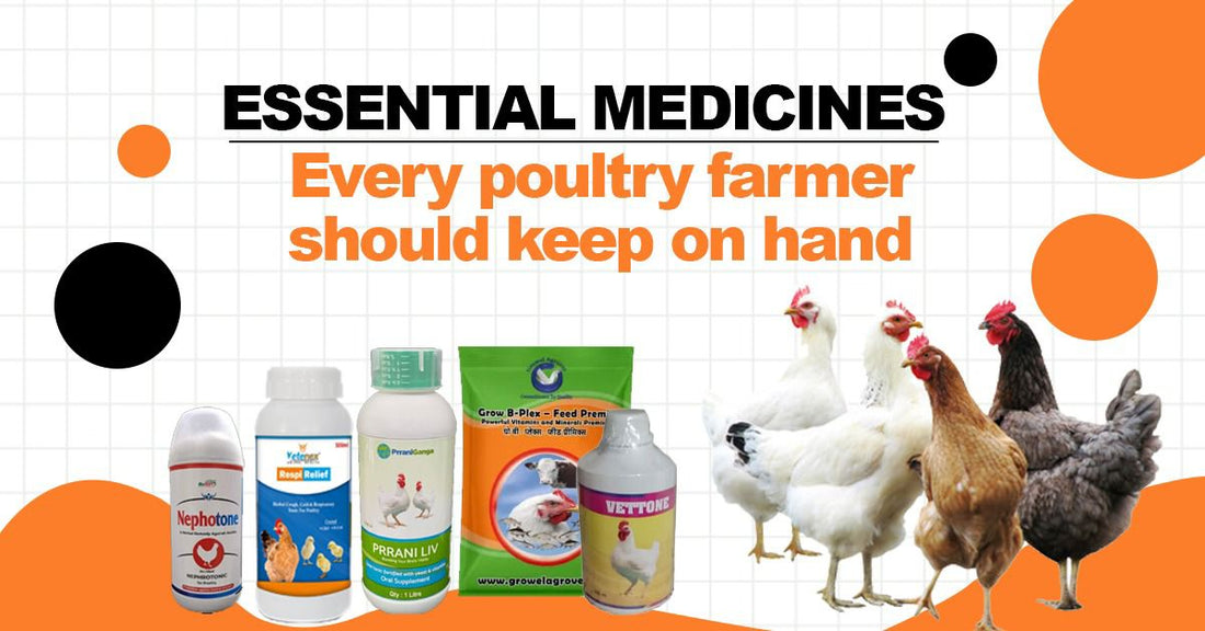 Essential Medicines Every Poultry Farmer Should Keep on Hand - Cage Life Care