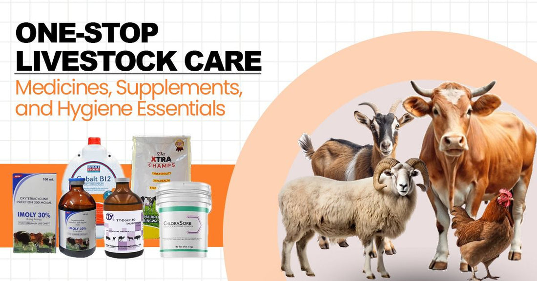 One-Stop Livestock Care: Medicines, Supplements, and Hygiene Essentials