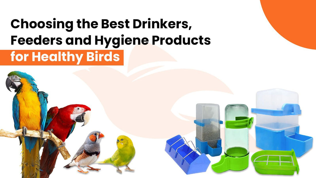 Choosing the Right Drinkers, Feeders and Hygiene Products
