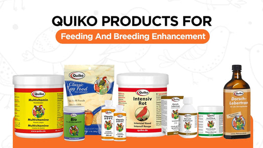 Quiko products for feeding and breeding enhancement - Cage Life Care