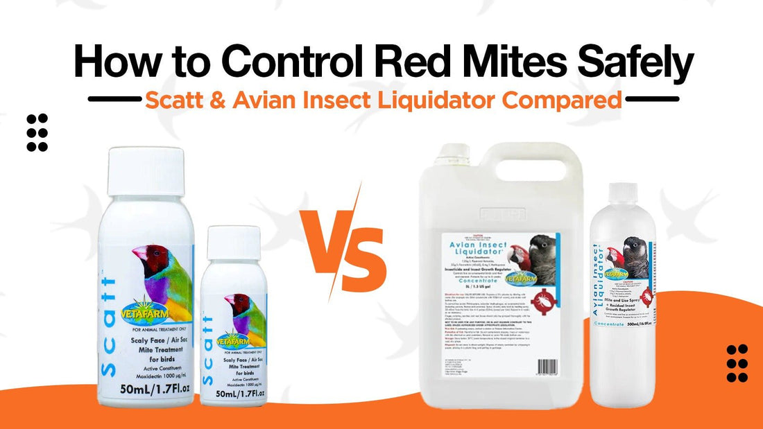 How to Control Red Mites Safely: Vetafarm Scatt vs Vetafarm Avian Insect Liquidator - Cage Life Care
