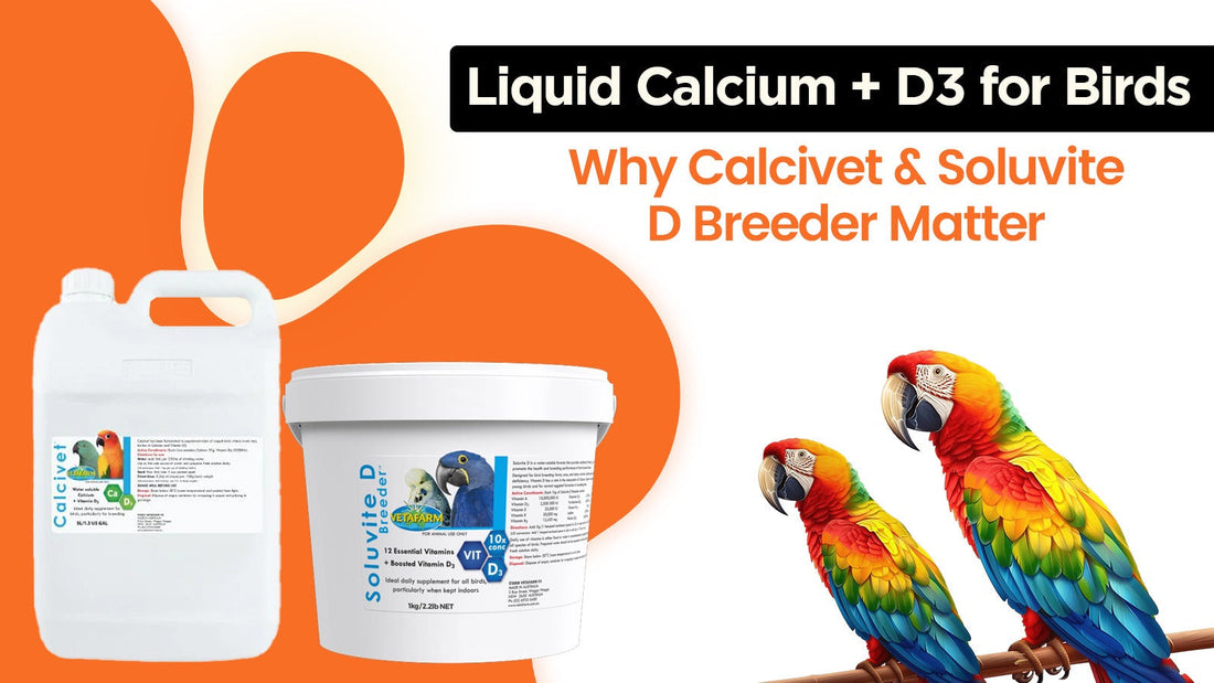 Liquid Calcium + D3 for Birds: Why Calcivet & Soluvite D Breeder Matter
