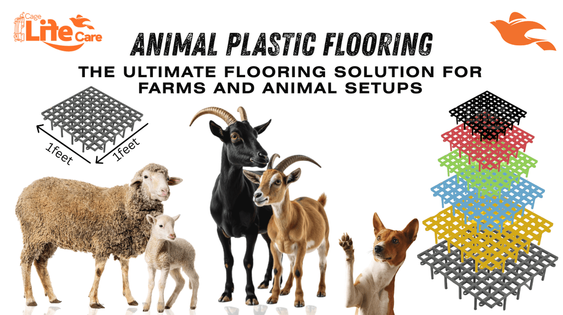 Animal Plastic Flooring: The Ultimate Flooring Solution for Farms and Animal Setups - Cage Life Care
