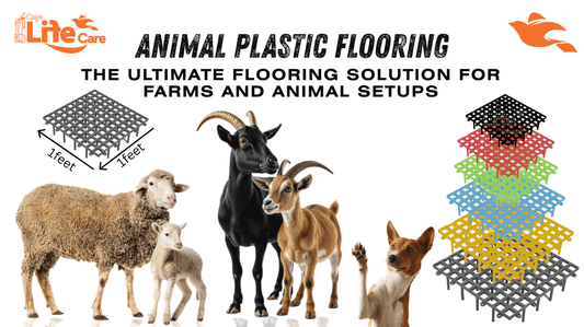 Animal Plastic Flooring: The Ultimate Flooring Solution for Farms and Animal Setups - Cage Life Care