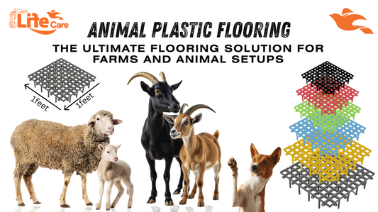 Animal Plastic Flooring: The Ultimate Flooring Solution for Farms and Animal Setups