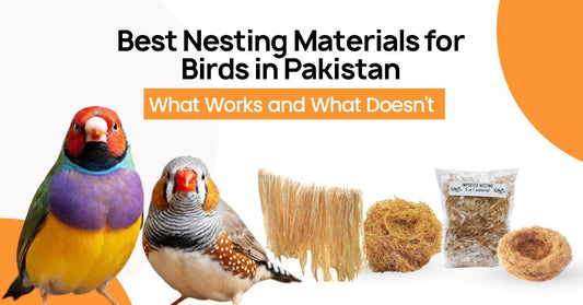 Best Nesting Materials for Birds in Pakistan — What Works and What Doesn't