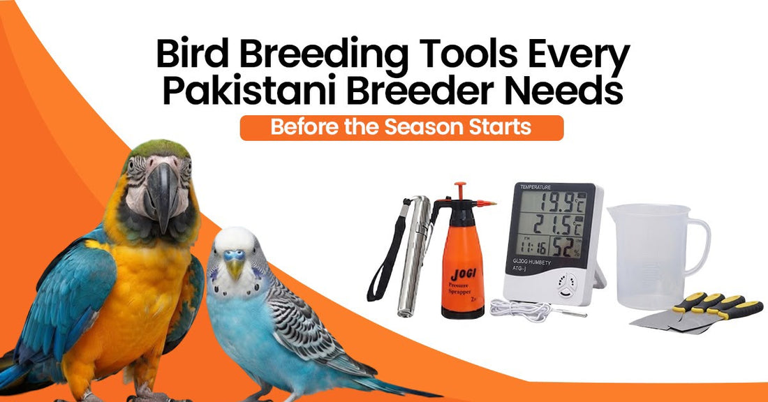 Bird Breeding Tools Every Pakistani Breeder Needs Before the Season Starts