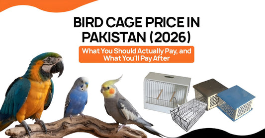 Bird Cage Price in Pakistan 2026 — Complete Buying Guide