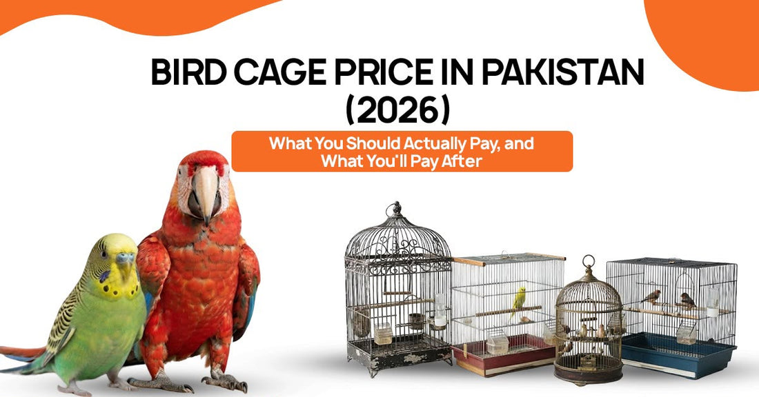 Bird Cage Price in Pakistan 2026 — Complete Buying Guide