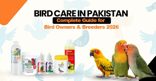 Bird Care in Pakistan — Complete Guide for Bird Owners & Breeders 2026