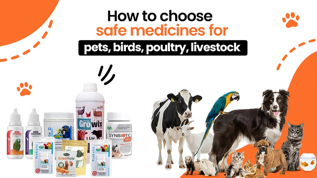 How to choose safe medicines for pets, birds, poultry and livestock