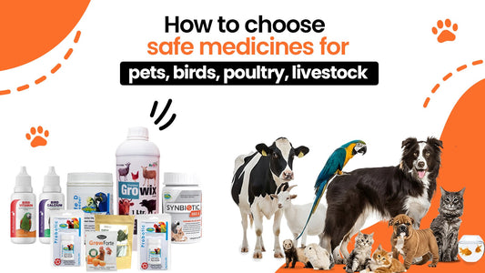 How to choose safe medicines for pets, birds, poultry and livestock
