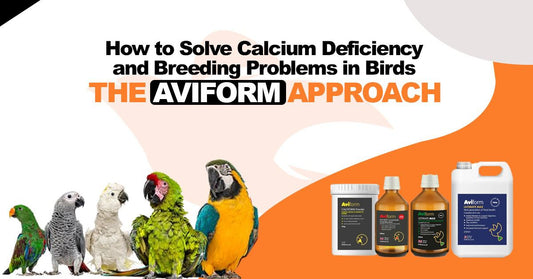 How to Solve Calcium Deficiency and Breeding Problems in Birds — The Aviform Approach