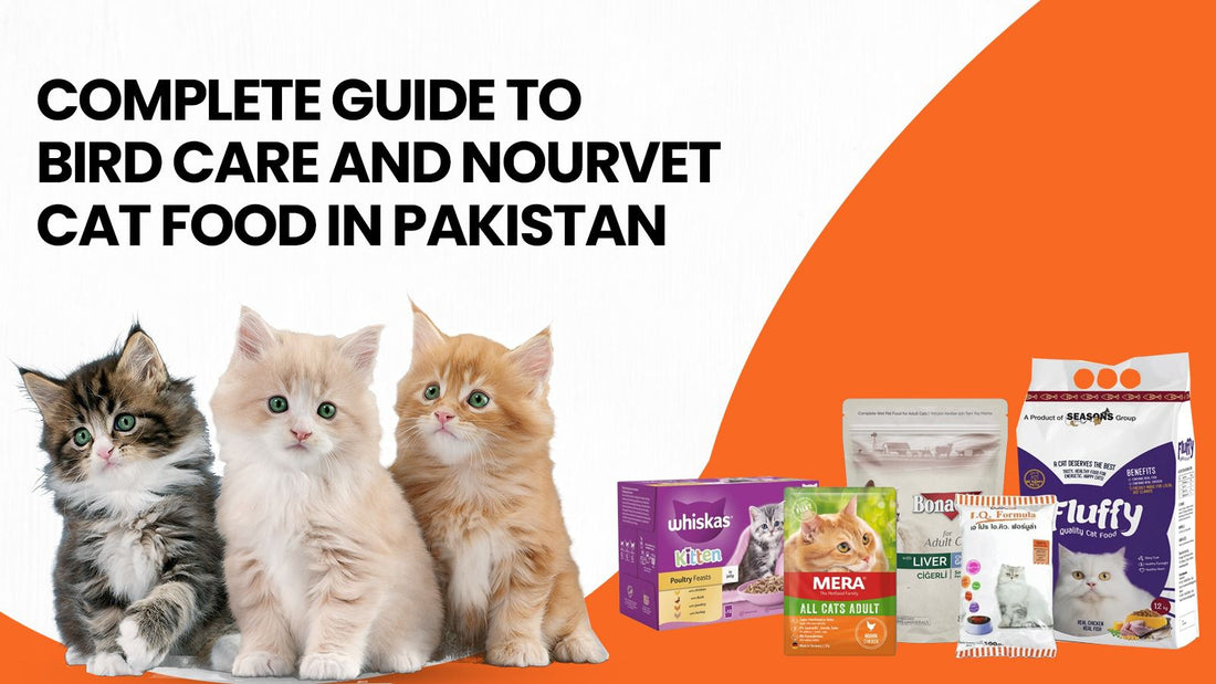 Complete Guide to Bird Care and Nourvet Cat Food in Pakistan
