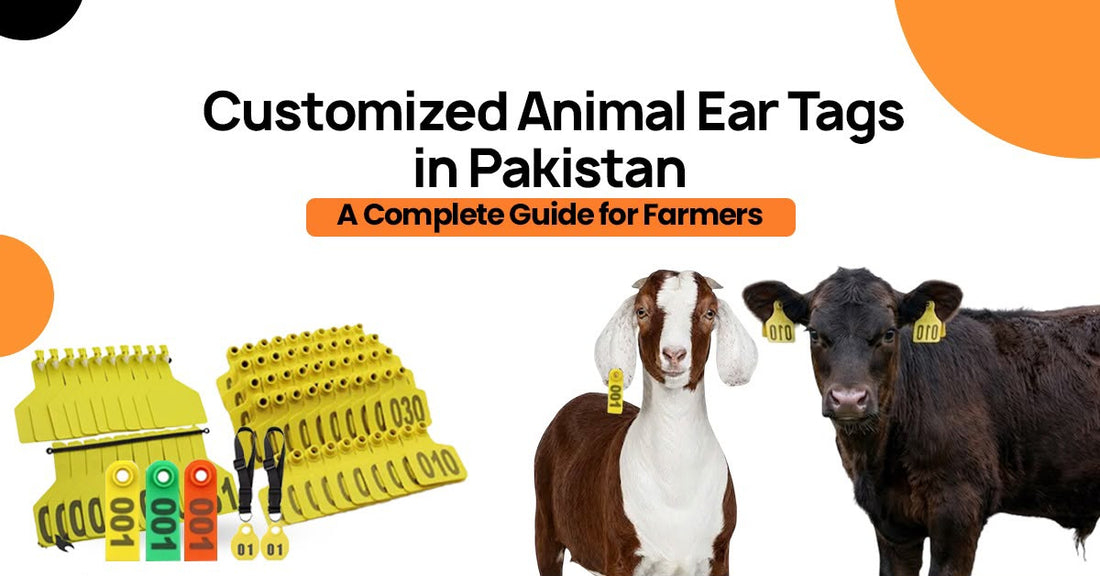 Customized Animal Ear Tags in Pakistan — A Complete Guide for Farmers