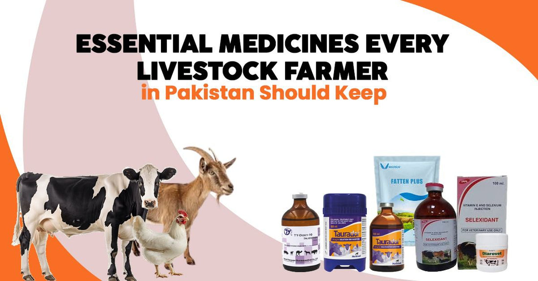 Essential Medicines Every Livestock Farmer in Pakistan Should Keep - Cage Life Care