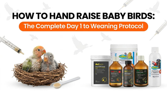 How to Hand Raise Baby Birds: The Complete Day 1 to Weaning Protocol