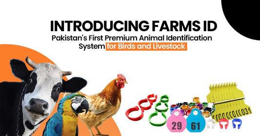 Introducing FARMS ID — Pakistan's First Premium Animal Identification System for Birds and Livestock
