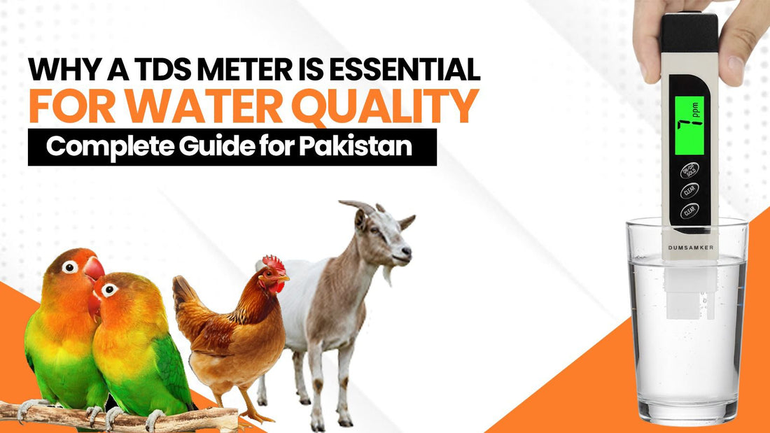 Why a TDS Meter Is Essential for Water Quality — Complete Guide for Pakistan - Cage Life Care