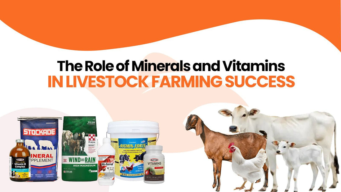 The Role of Minerals and Vitamins in Livestock Farming Success - Cage Life Care