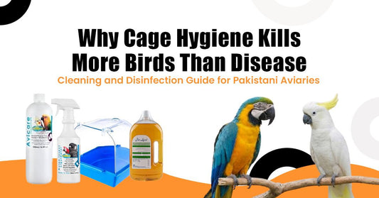 Why Cage Hygiene Kills More Birds Than Disease — Cleaning and Disinfection Guide for Pakistani Aviaries