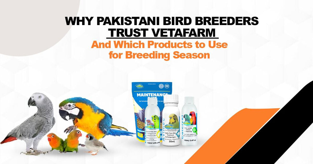 Why Pakistani Bird Breeders Trust Vetafarm — And Which Products to Use for Breeding Season