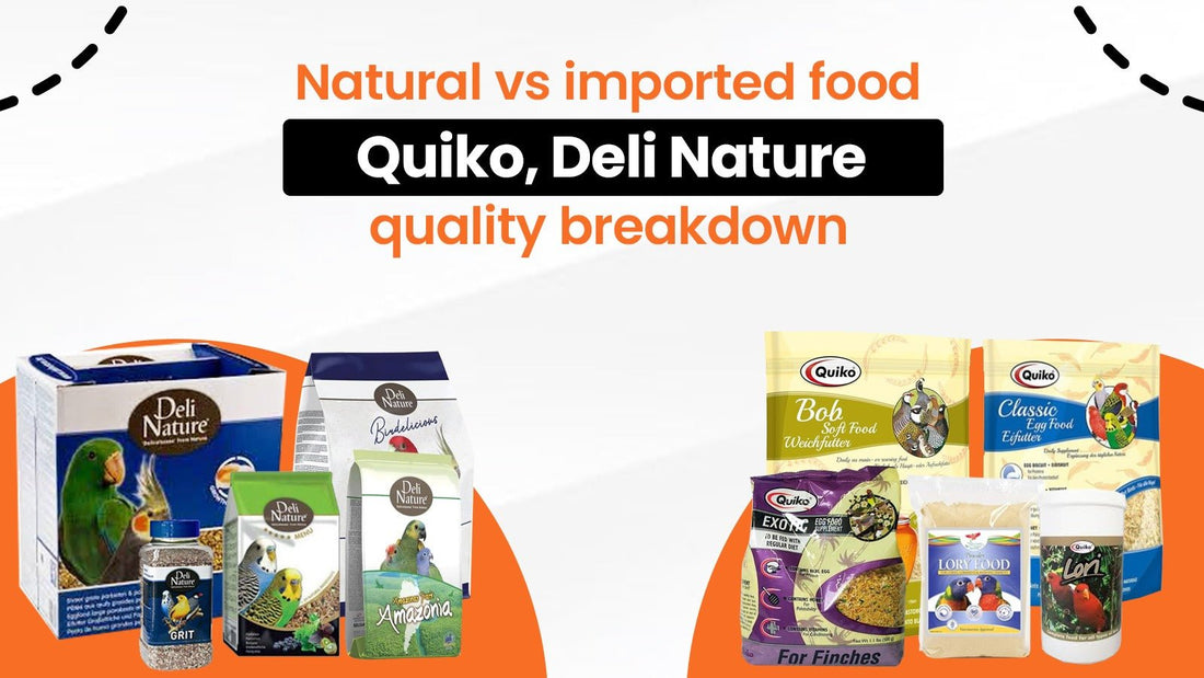 Natural vs Imported Food: Quiko, Deli Nature Quality Breakdown - Cage Life Care