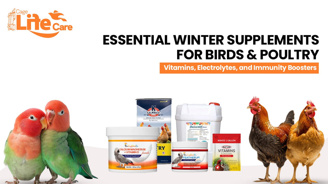Essential Winter Supplements for Birds & Poultry: Vitamins, Electrolytes, and Immunity Boosters