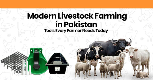 Modern Livestock Farming in Pakistan — Tools & Accessories Every Farmer Needs Today