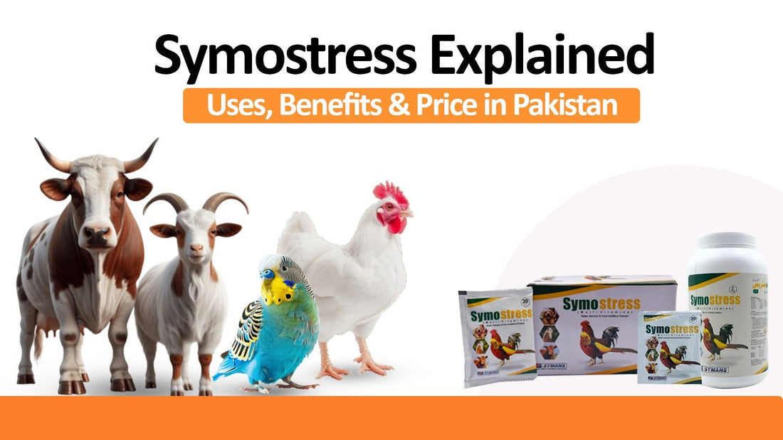 Symostress Explained: Uses, Benefits & Price in Pakistan - Cage Life Care