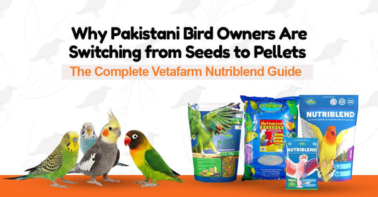 Why Pakistani Bird Owners Are Switching from Seeds to Pellets — The Complete Vetafarm Nutriblend Guide