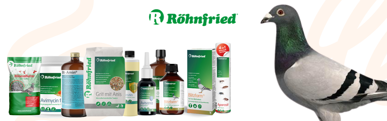 Rohnfried