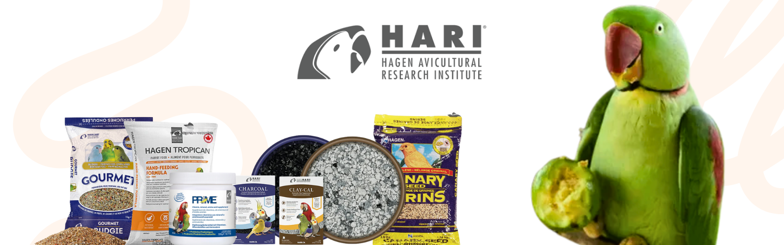 Hari Hagen