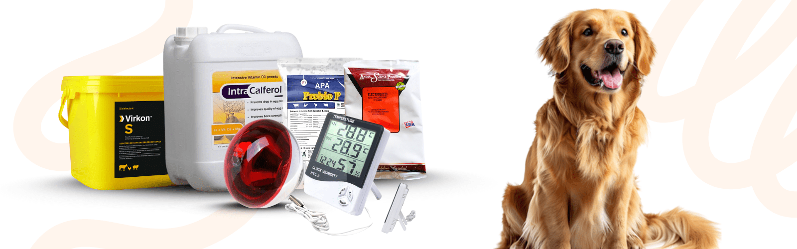 Dog Products