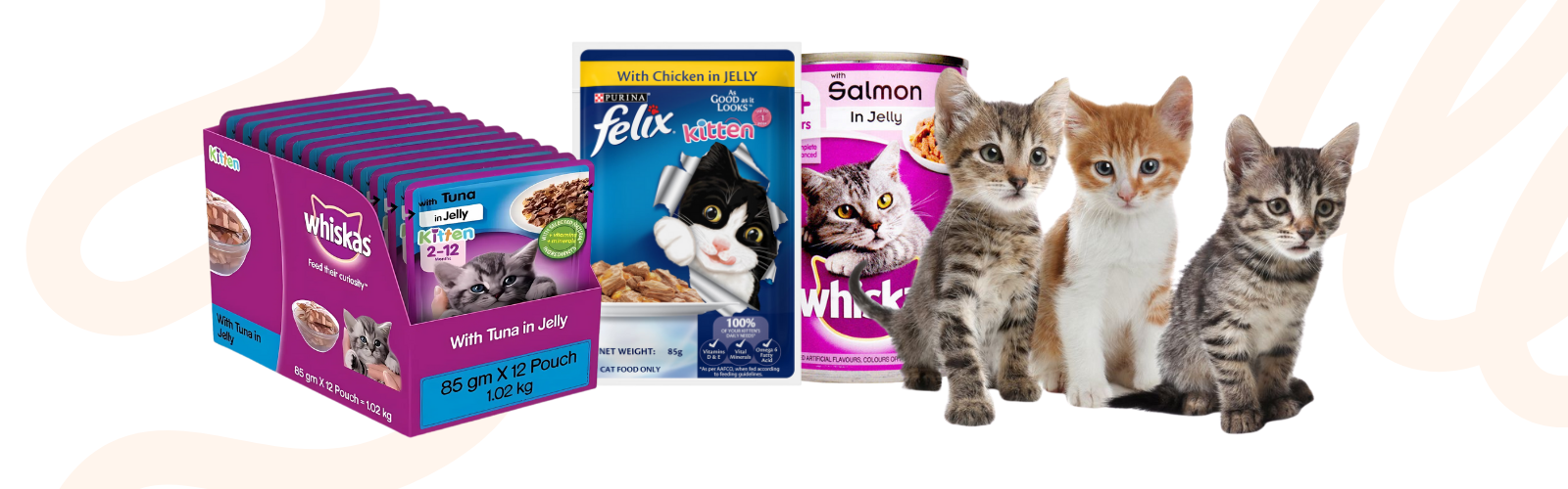 Cat Jelly & Treats