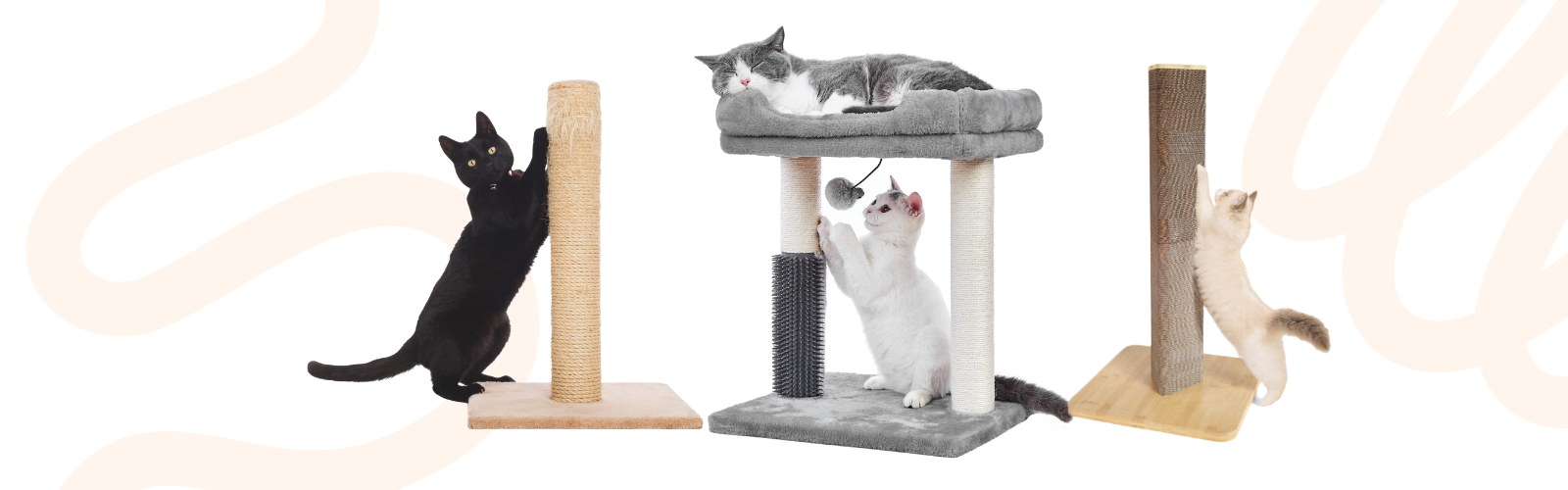 Cat Scratching Posts