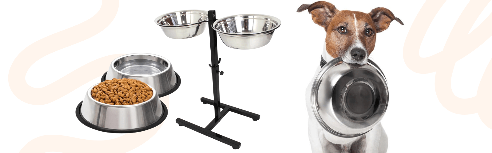 Dog Feed Bowls