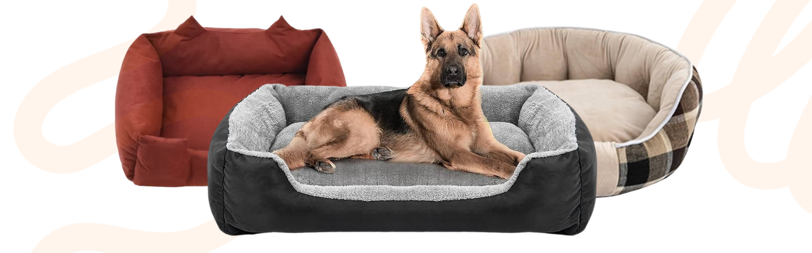 Dog House & Bedding