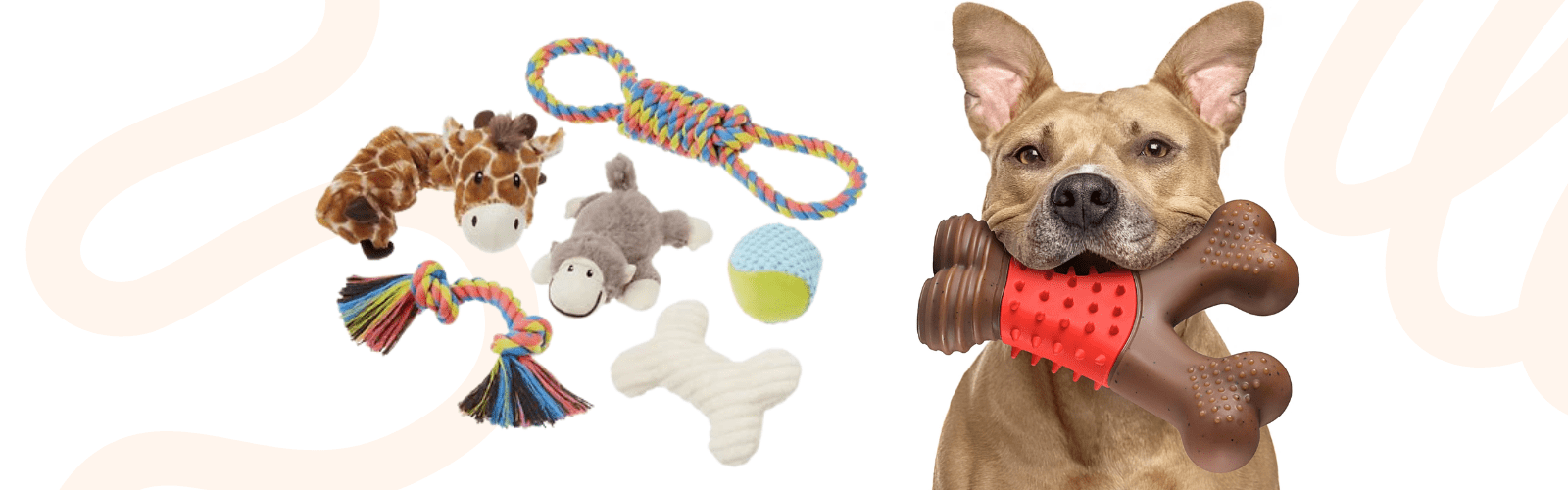 Dog Toys